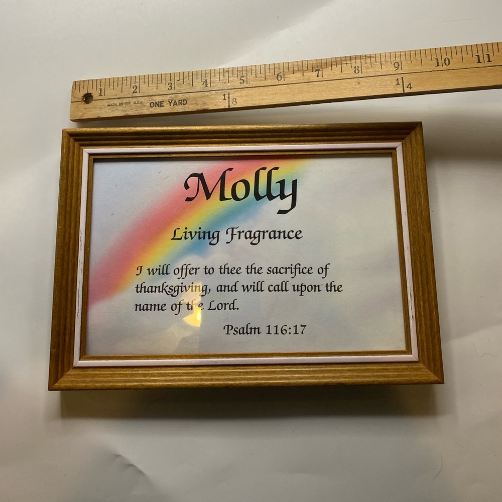 Vintage Molly name sign kids room rainbow plastic and wood religious picture
